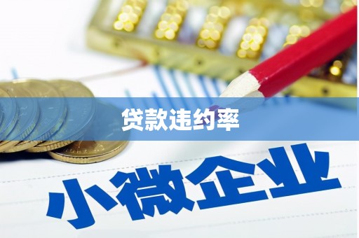 宜宾贷款违约率