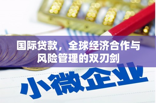 宜宾国际贷款，全球经济合作与风险管理的双刃剑