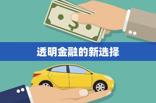 宜宾透明金融的新选择