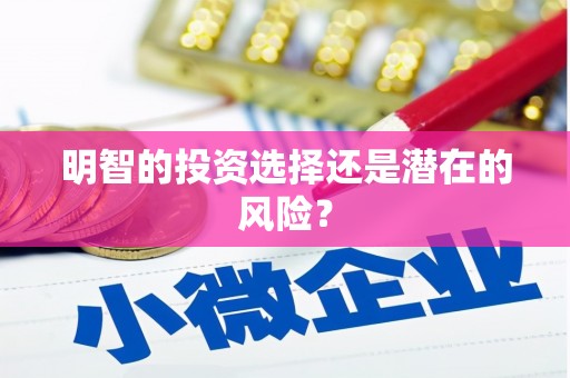宜宾明智的投资选择还是潜在的风险？