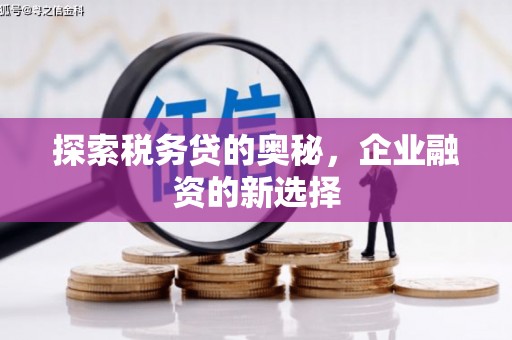 宜宾探索税务贷的奥秘，企业融资的新选择