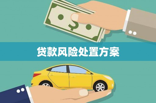 宜宾贷款风险处置方案
