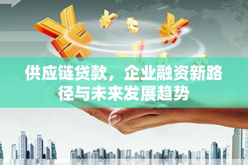 宜宾供应链贷款，企业融资新路径与未来发展趋势