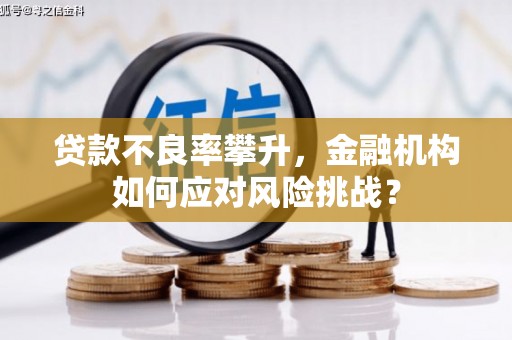 宜宾贷款不良率攀升，金融机构如何应对风险挑战？