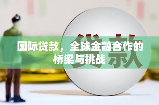 宜宾国际贷款，全球金融合作的桥梁与挑战