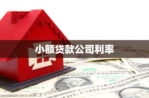 宜宾小额贷款公司利率