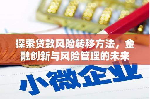 宜宾探索贷款风险转移方法，金融创新与风险管理的未来