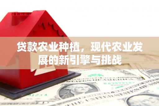 宜宾贷款农业种植，现代农业发展的新引擎与挑战