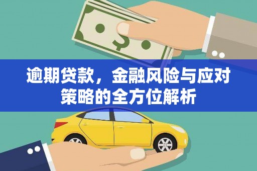 宜宾逾期贷款，金融风险与应对策略的全方位解析