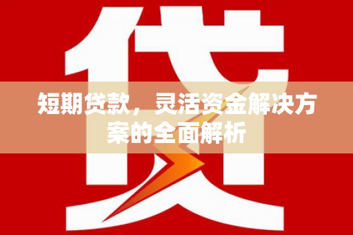 宜宾短期贷款，灵活资金解决方案的全面解析