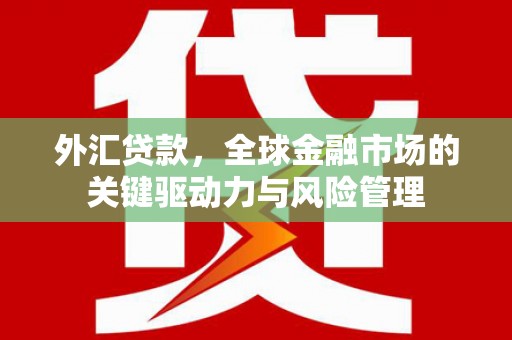 宜宾外汇贷款，全球金融市场的关键驱动力与风险管理