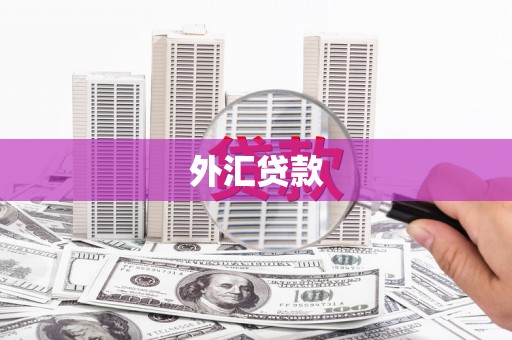 宜宾外汇贷款