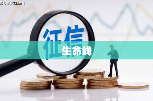 宜宾生命线
