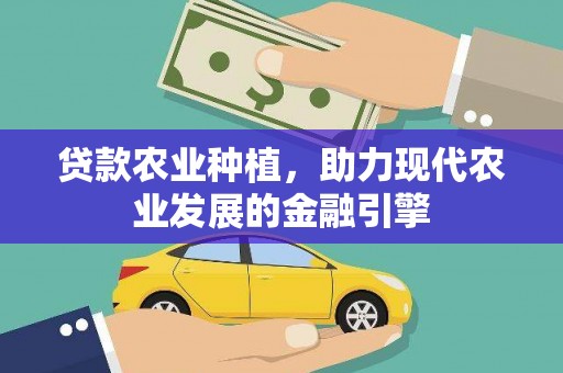宜宾贷款农业种植，助力现代农业发展的金融引擎