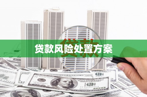 宜宾贷款风险处置方案