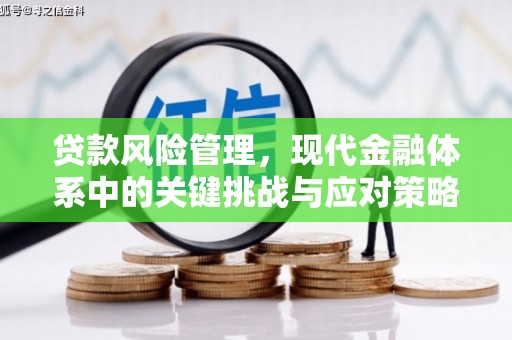 宜宾贷款风险管理，现代金融体系中的关键挑战与应对策略