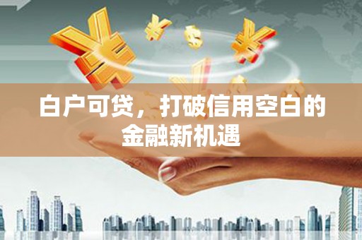 宜宾白户可贷，打破信用空白的金融新机遇