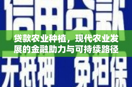 宜宾贷款农业种植，现代农业发展的金融助力与可持续路径