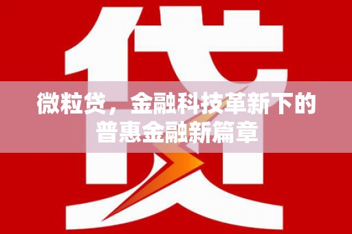 宜宾微粒贷，金融科技革新下的普惠金融新篇章