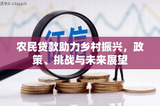 宜宾农民贷款助力乡村振兴，政策、挑战与未来展望