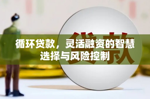 宜宾循环贷款，灵活融资的智慧选择与风险控制