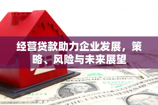 宜宾经营贷款助力企业发展，策略、风险与未来展望