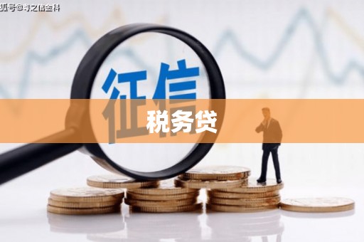 宜宾税务贷