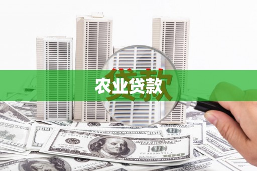 宜宾农业贷款