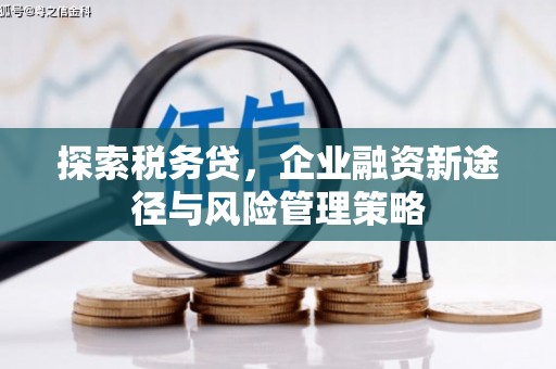 宜宾探索税务贷，企业融资新途径与风险管理策略