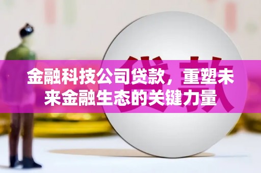 宜宾金融科技公司贷款，重塑未来金融生态的关键力量