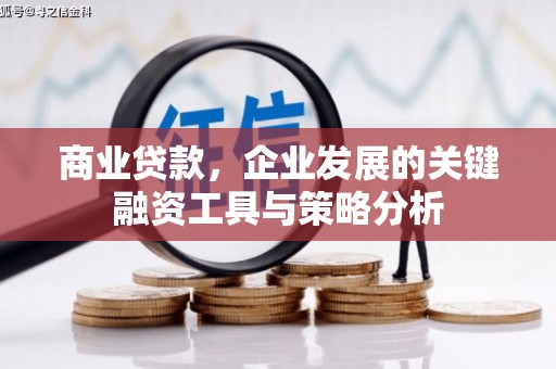 宜宾商业贷款，企业发展的关键融资工具与策略分析