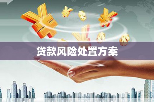 宜宾贷款风险处置方案