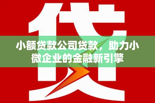 宜宾小额贷款公司贷款，助力小微企业的金融新引擎