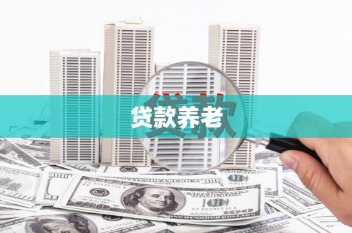 宜宾贷款养老