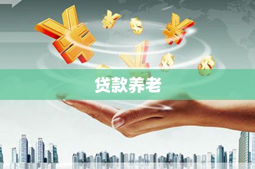 宜宾贷款养老