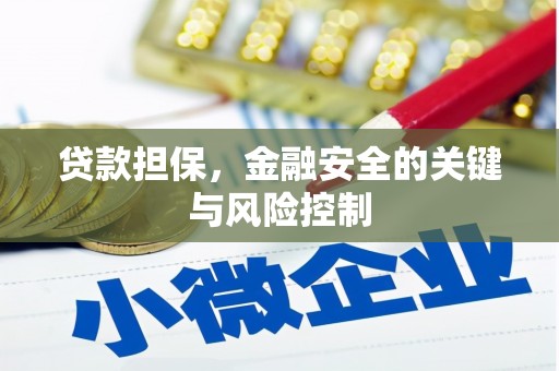 宜宾贷款担保，金融安全的关键与风险控制