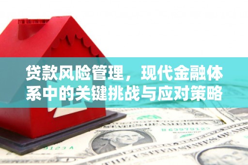 宜宾贷款风险管理，现代金融体系中的关键挑战与应对策略