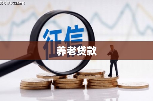 宜宾养老贷款