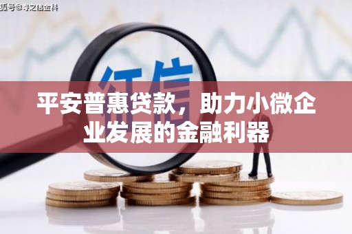 宜宾平安普惠贷款，助力小微企业发展的金融利器