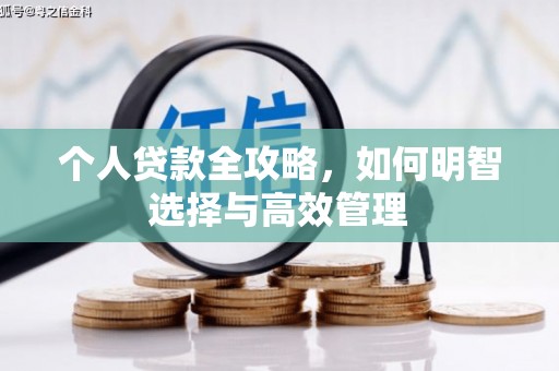 宜宾个人贷款全攻略，如何明智选择与高效管理