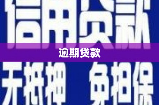 宜宾逾期贷款