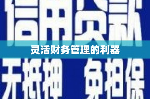 宜宾灵活财务管理的利器