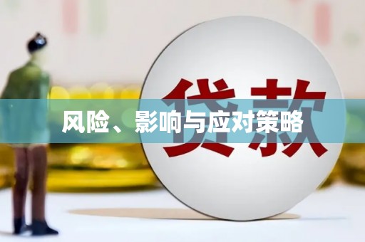 宜宾风险、影响与应对策略
