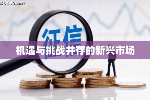 宜宾机遇与挑战并存的新兴市场
