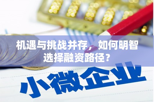 宜宾机遇与挑战并存，如何明智选择融资路径？