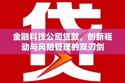 宜宾金融科技公司贷款，创新驱动与风险管理的双刃剑